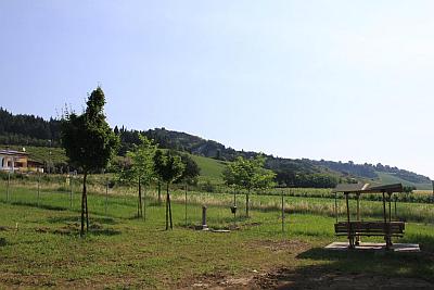 Area-sgambamento-cani