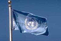 Bandiera Onu