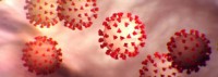 Coronavirus_max_res