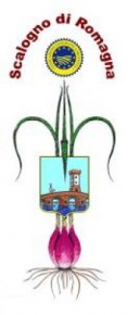 Fiera dello scalogno di Romagna IGP