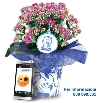 Fiori d'azzurro