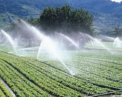 Getti irrigui in agricoltura
