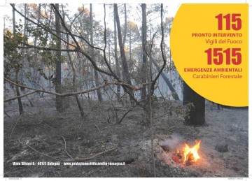 incendi-boschivi