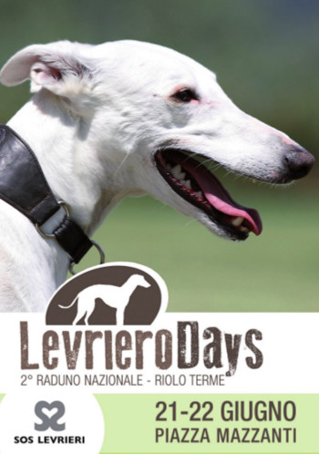 Levriero Days 2014