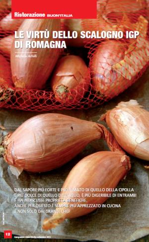 Lo scalogno di Romagna Igp