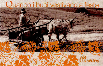 Quando i buoi vestivano a festa