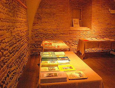 Rassegna letteraria alla Rocca di Riolo