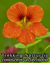 Trekking Nasturzio