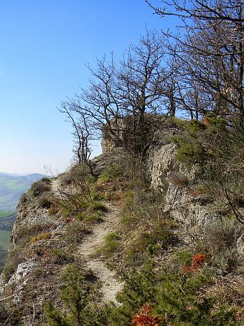 Trekking nel Parco