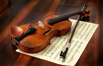 violinotesto
