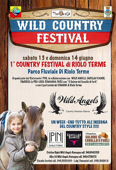 Wild Country Festival 2015